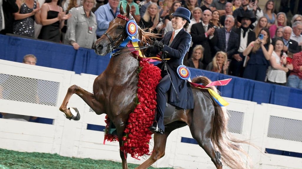 World's Championship Horse Show tickets at Freedom Hall At Kentucky State Fair, Louisville