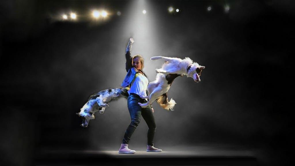 Mutts Gone Nuts tickets at Lorain Palace Theatre, Lorain