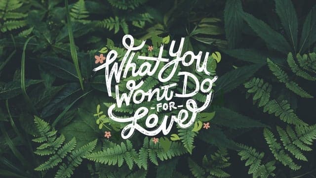 What You Won't Do for Love tickets at Weill Hall At Green Music Center, Rohnert Park