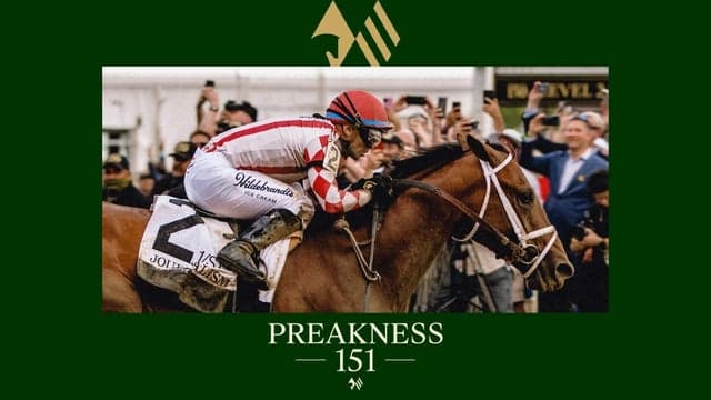 Preakness Stakes — Sports tickets
