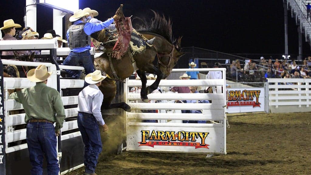 Farm City Pro Rodeo tickets at Umatilla County Fair, Hermiston