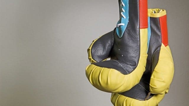 Fight Fest — Concerts tickets