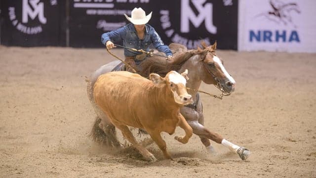 Run For A Million Cow Horse Challenge tickets at Arena at South Point Hotel And Casino, Las Vegas